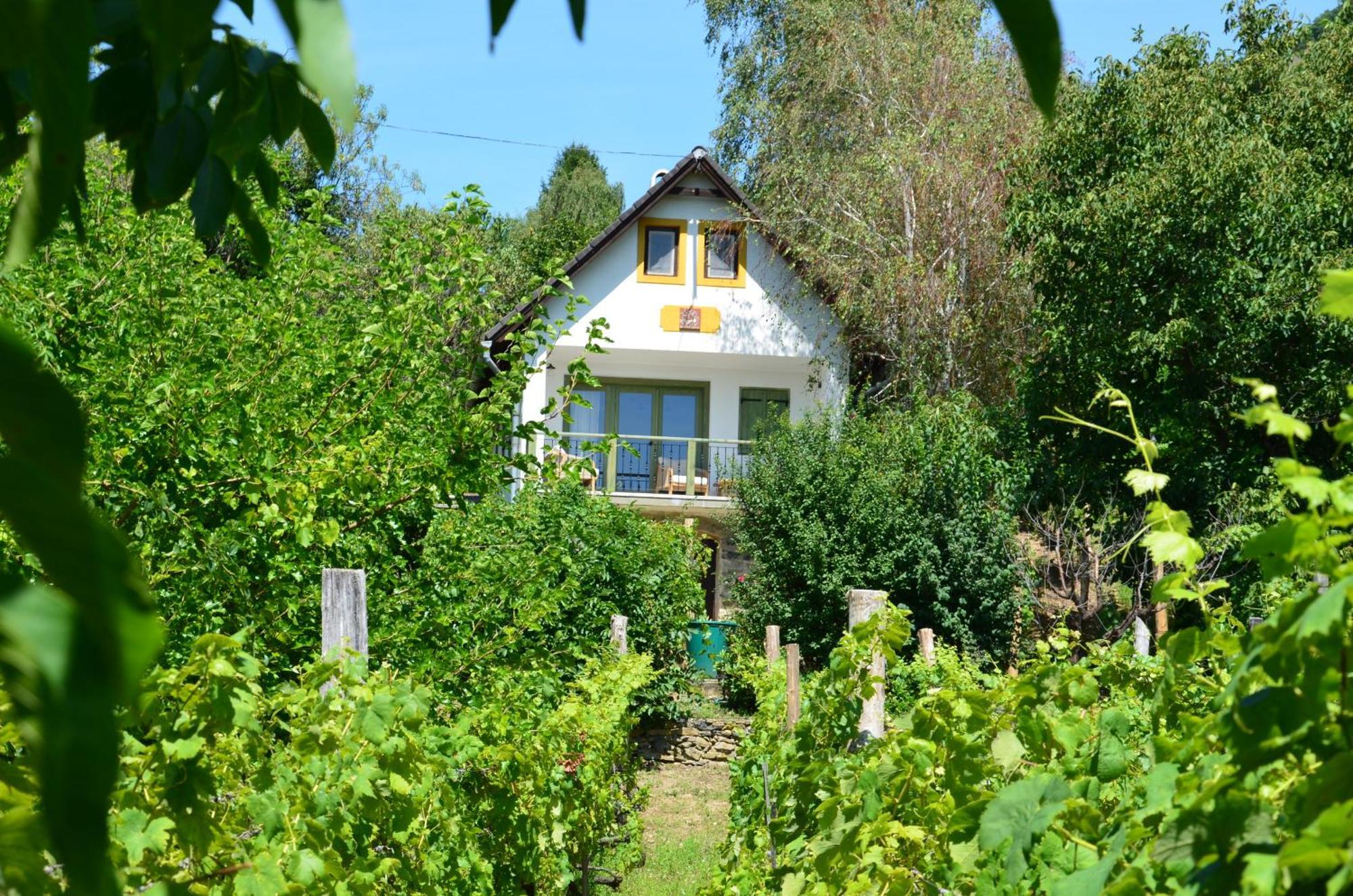 Grand Cru 3. Vendeghaz Villa Hegymagas Exterior photo